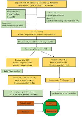 Predictive model and risk analysis for peripheral vascular disease in type 2 diabetes mellitus patients using machine learning and shapley additive explanation